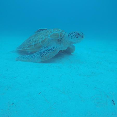 Villamas Perhentian Resort ภายนอก รูปภาพ